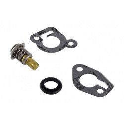 Thermostat kit (120°) for MERCURY